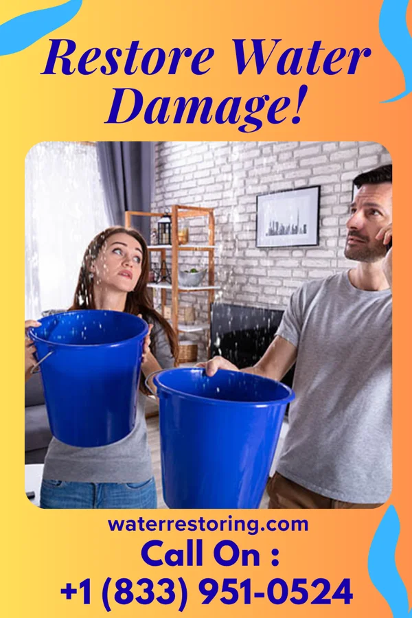 water restoration Vanguard Water Repair Masters Dexter