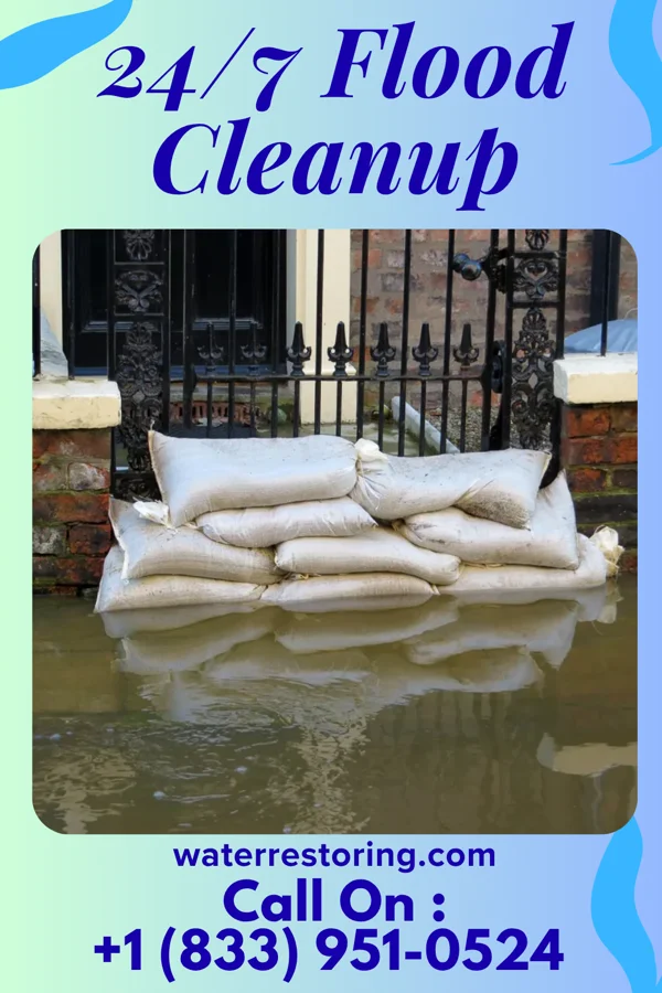 24/7 Flood Cleanup in Dexter, NY