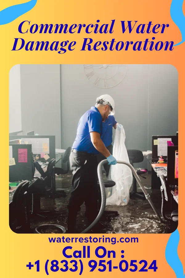 Commercial Water Damage Restoration in Dexter, NY