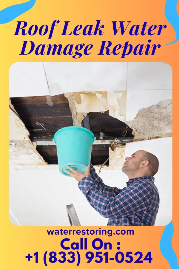 Roof Leak Water Damage Repair in Dexter, NY