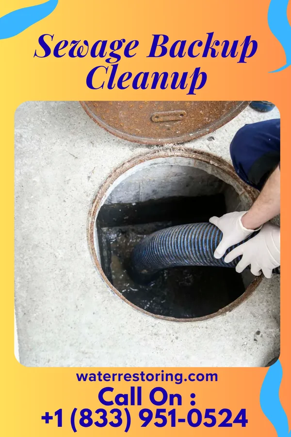 Sewage Backup Cleanup in Dexter, NY