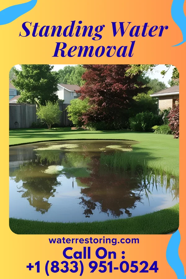 Standing Water Removal in Dexter, NY